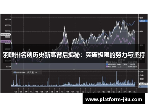 羽联排名创历史新高背后揭秘：突破极限的努力与坚持