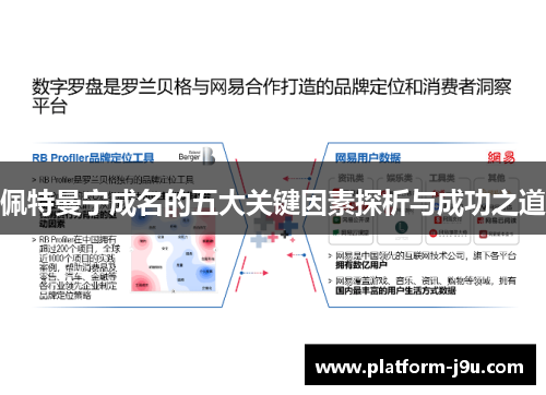 佩特曼宁成名的五大关键因素探析与成功之道